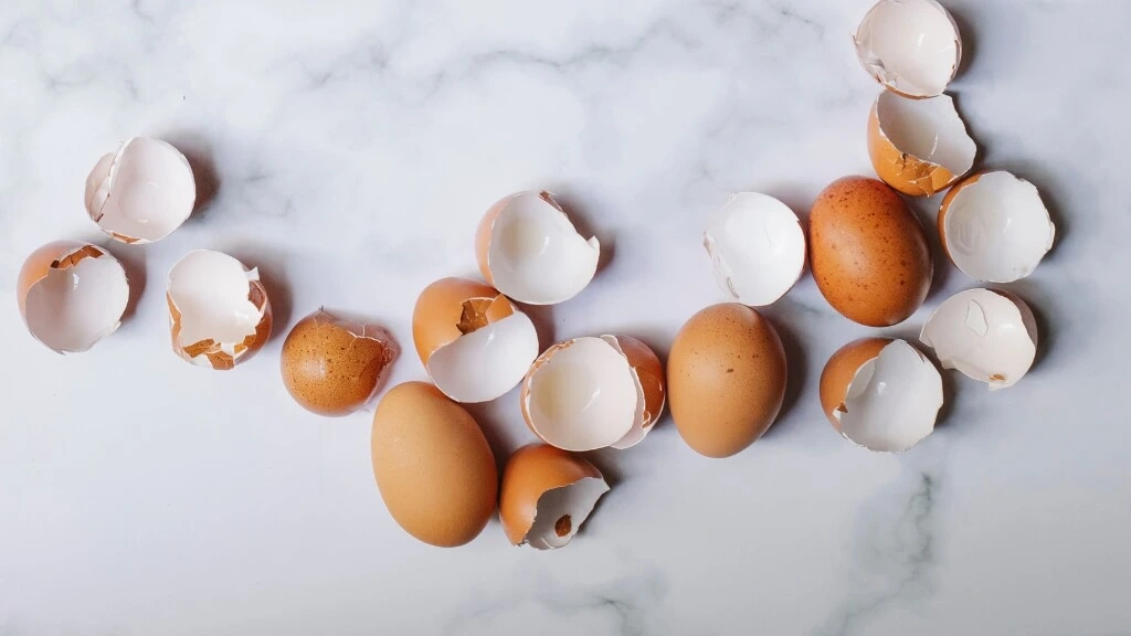 2 Ways to Unclog Eggshells in a Garbage Disposal
