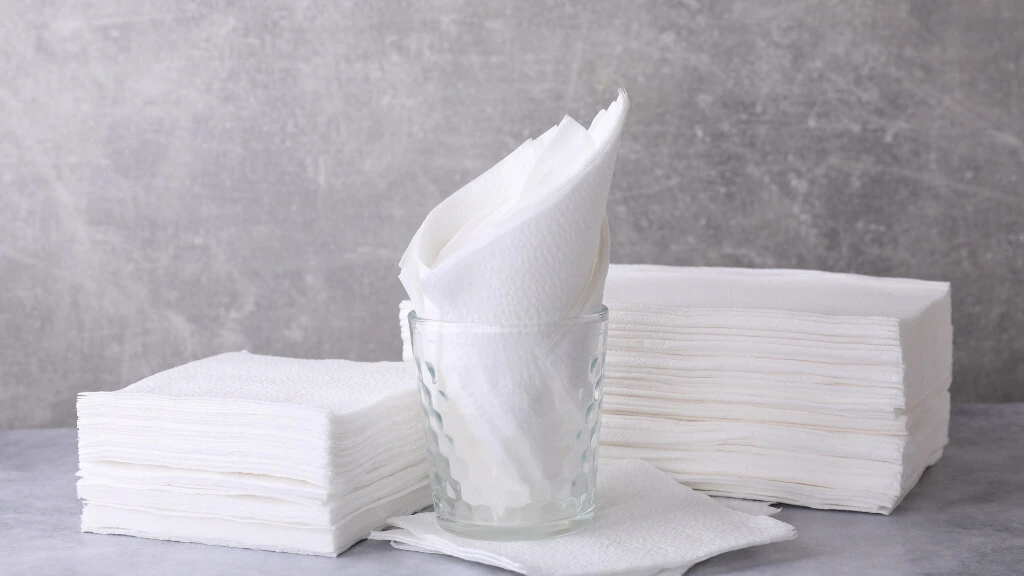 Non-food items such as paper towels, plastic wrappers, and tissues