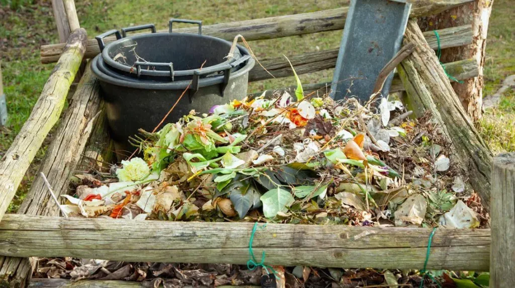 Put Eggshells in a Compost Pile