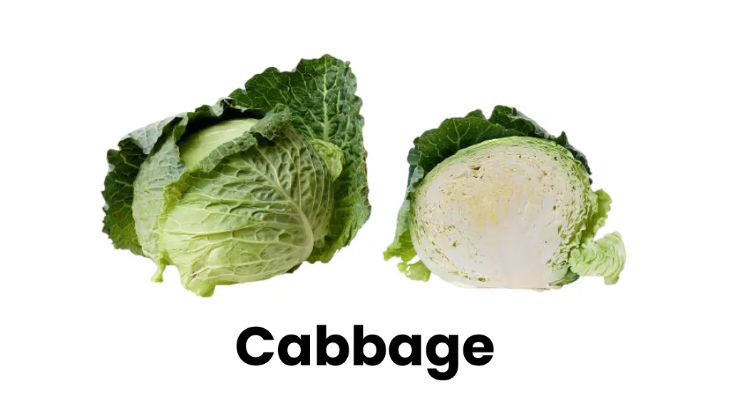 Cabbage