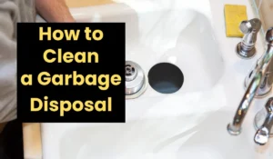 how to clean a garbage disposal