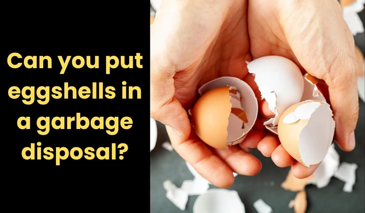 Can you put eggshells in a garbage disposal