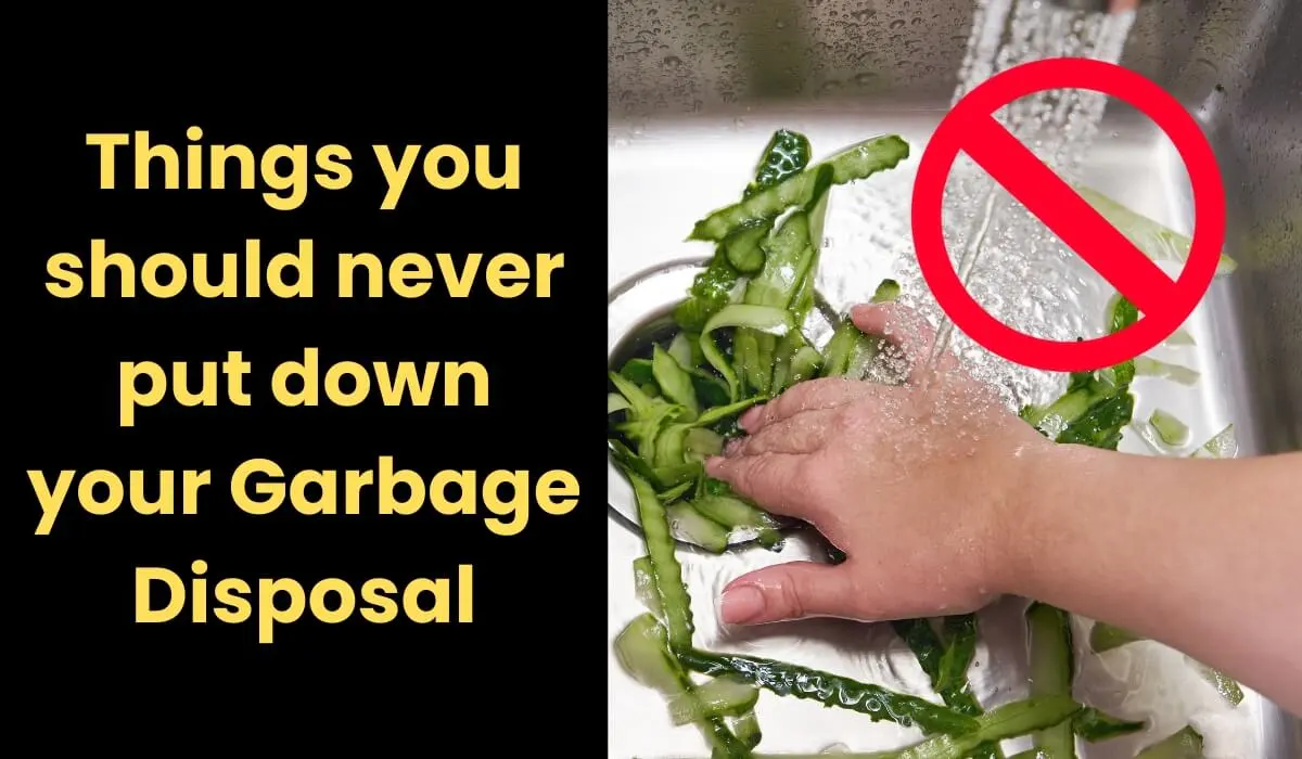 15 Things you should not put in a Garbage Disposal